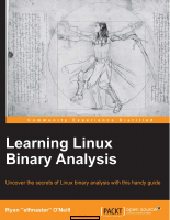Learning Linux Binary Analysis.pdf